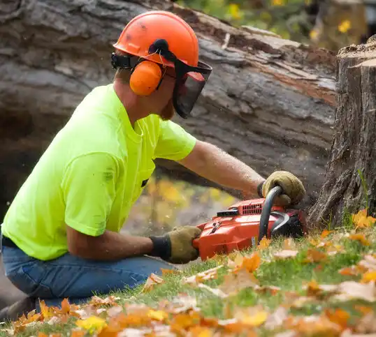 tree services Tabor City